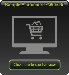 View our ecommerce system