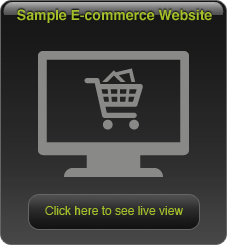 View our ecommerce system