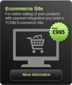 Ecommerce Web Sites