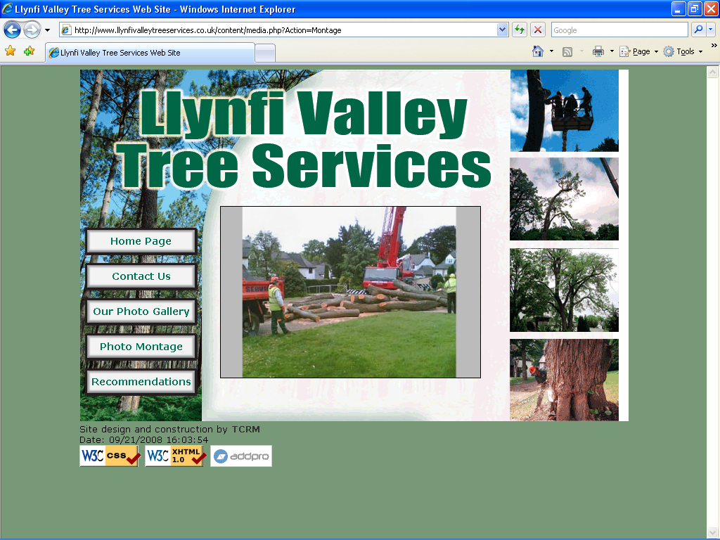 An image from Llynfi Valley Tree Services Web Site