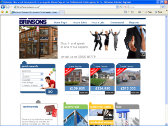An image from the Brinsons Web Site