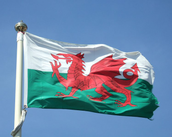 The Welsh Flag The Welsh Flag